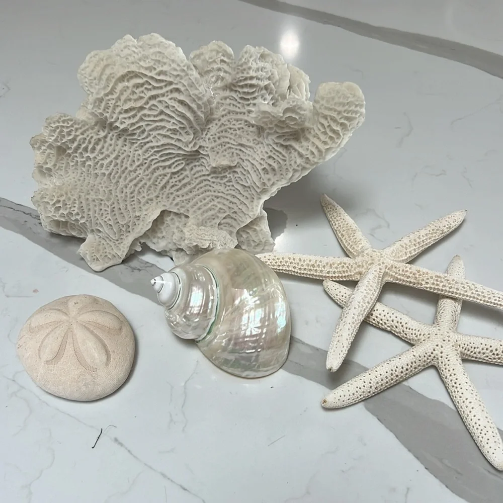 Z Gallery dining and home decor